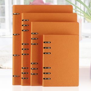 smart notes bluesky notebook binder smart notes bluesky notebook binder